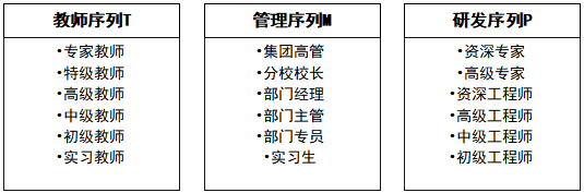 三大职级六大序列.png